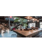 Décoration Maison – Coussins, Tasses & Accessoires design